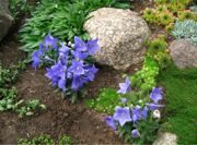 14-под-Кингисеппом-20-соток-1-e1308568425462