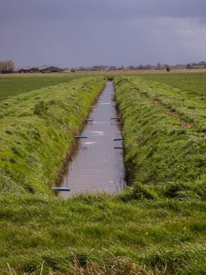 Depositphotos_10258767_xs