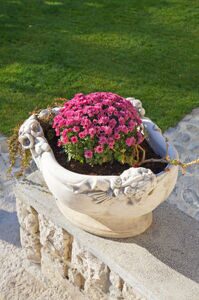 Depositphotos_30579705_xs