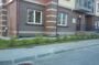 zarskiy_dvor_28